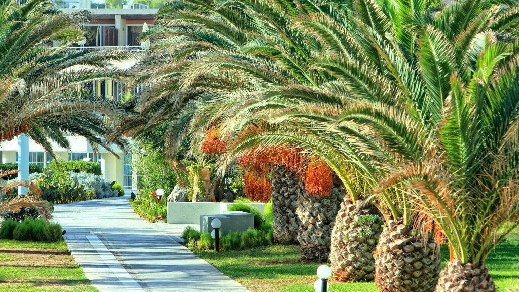 Santa Marina Beach Resort & Spa - Economy