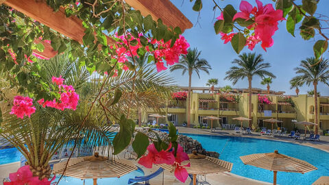 Náhled objektu Palm Beach Resort, Hurghada, Hurghada a okolí, Egypt