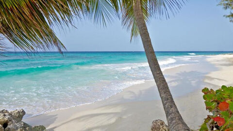 Náhled objektu Turtle Beach Resort by Elegant Hotels, Dover, Barbados, Karibik a Stř. Amerika