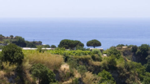 Náhled objektu Villa Miralisa, Forio, ostrov Ischia, Itálie a Malta