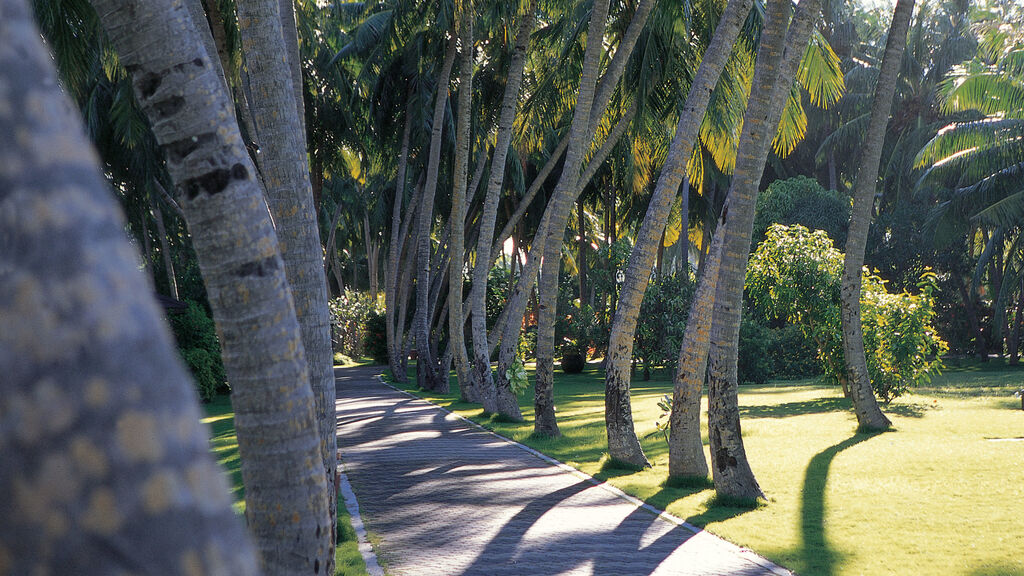Sun Island bungalovy