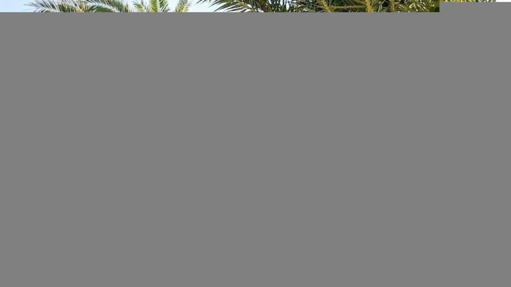 Akti Kalimera adults