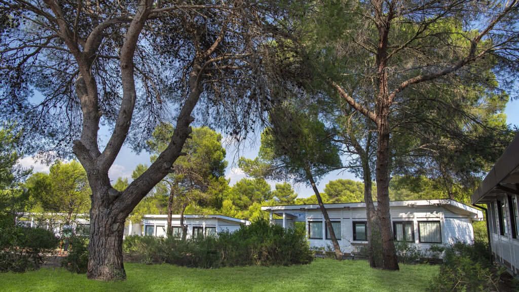 Alborea Ecolodge Resort