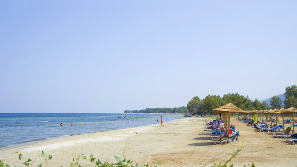 Alea Hotel & Suites