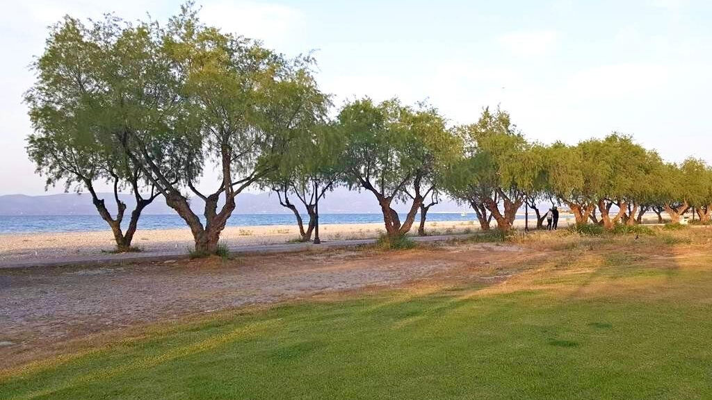 Alkyon Resort Hotel & Spa
