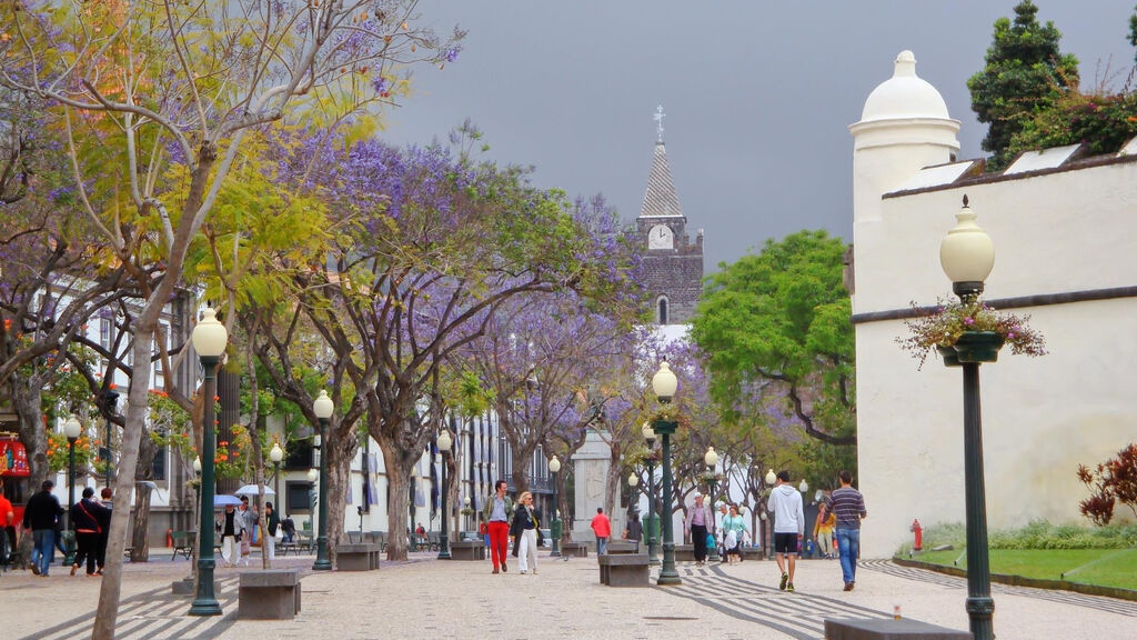 Alojamento Central Ii