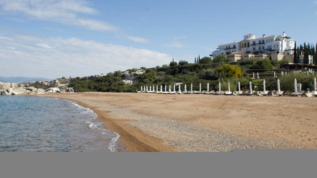 Anassa