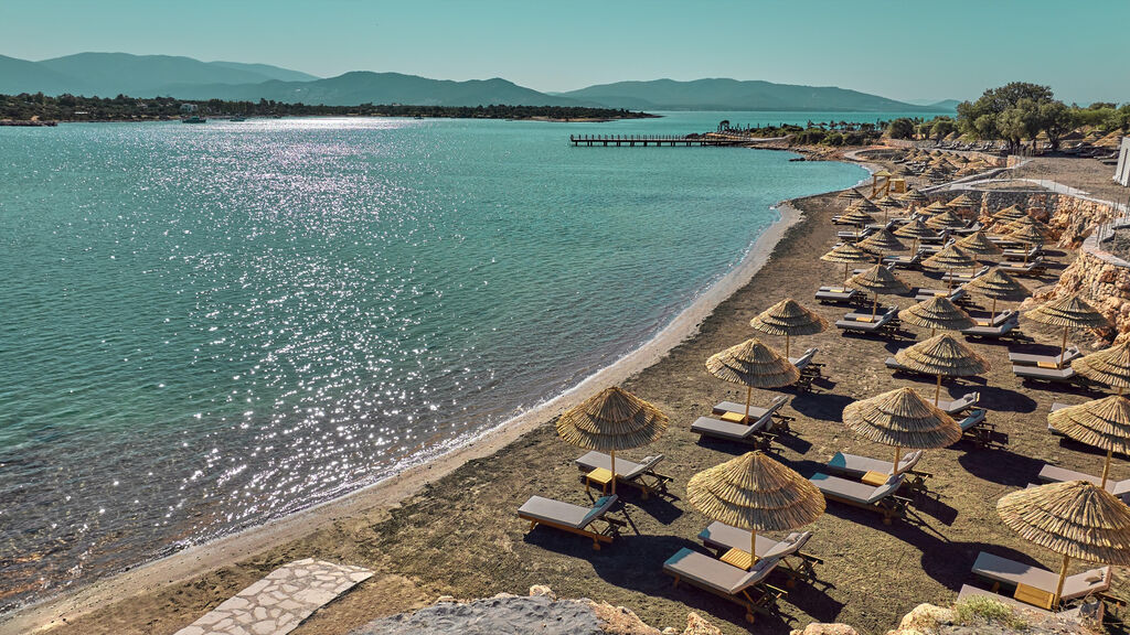 Anda Barut Collection