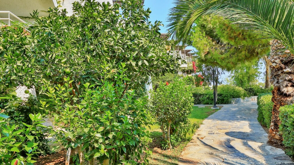 Apollonia Beach Resort & Spa