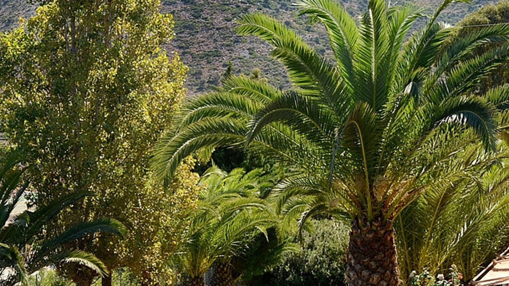 Atali Village