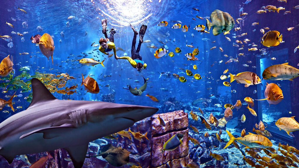 Atlantis The Palm