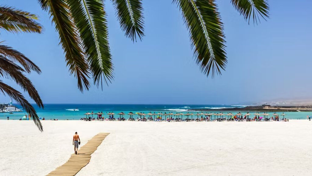 Barcelo Fuerteventura Royal Level
