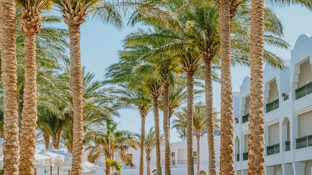 Baron Palms