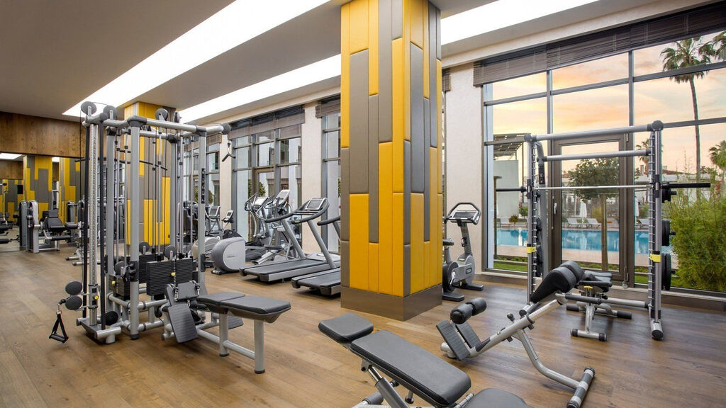 Acanthus Cennet Barut Collection