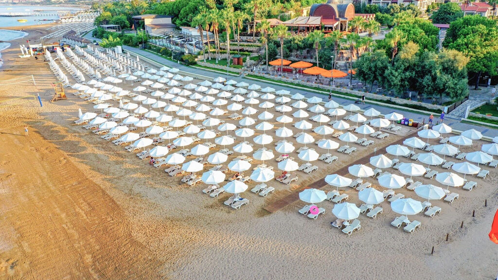 Arum Barut Collection