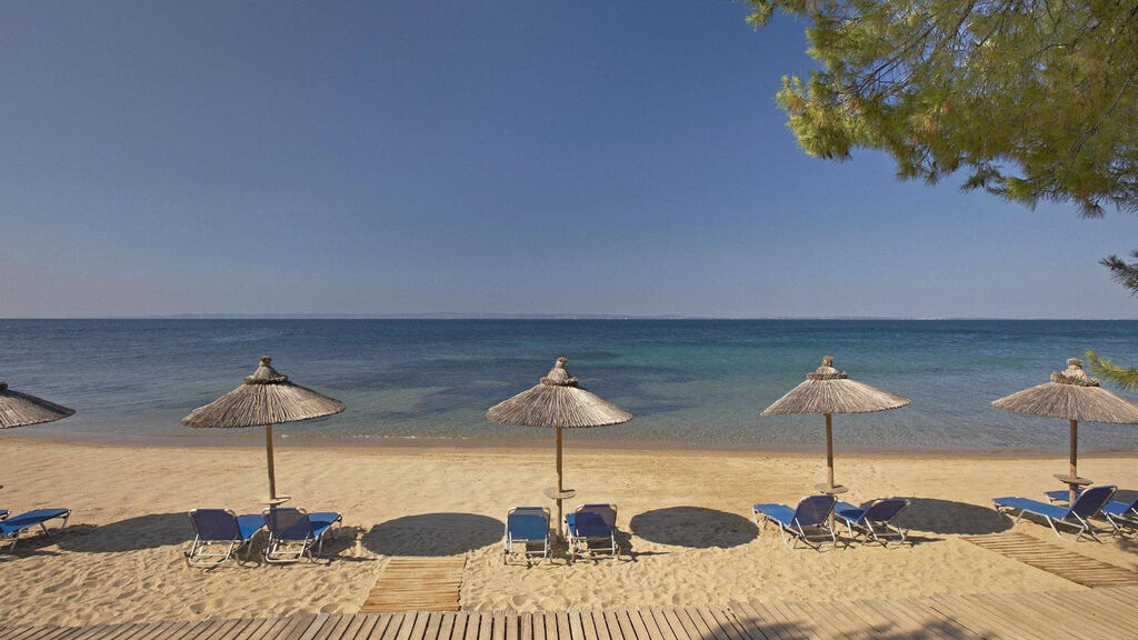 Blue Dolphin Resort