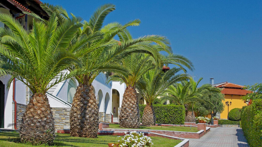Blue Dolphin Resort