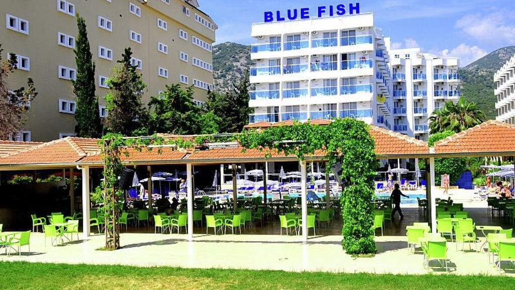 Blue Fish