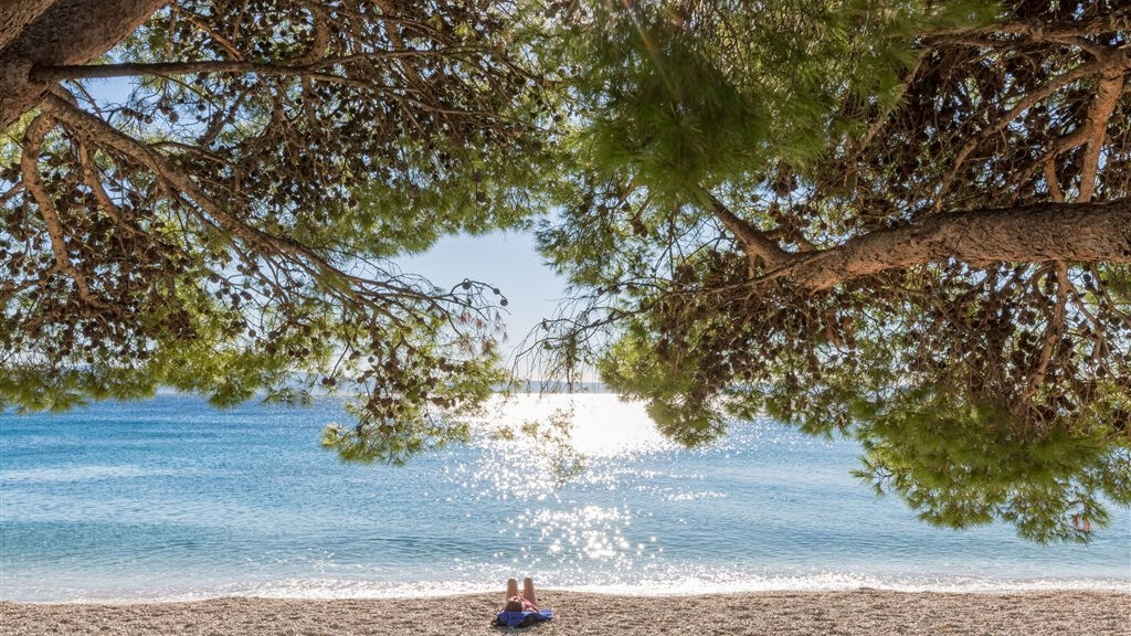 Hotel Bluesun Alga