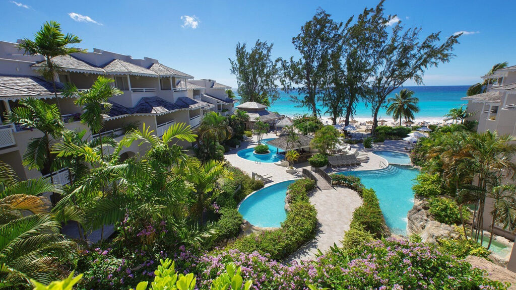 Bougainvillea Barbados