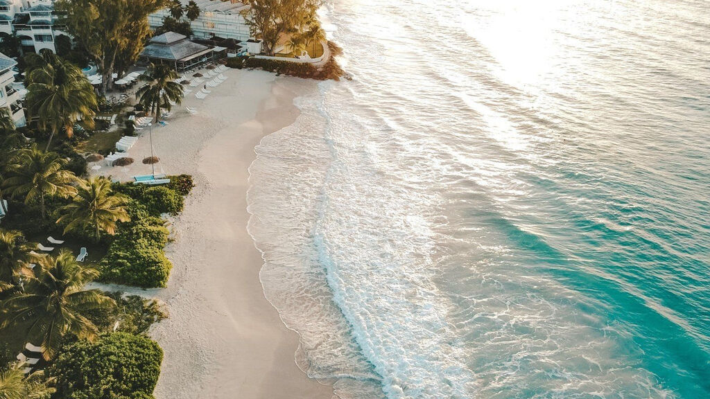 Bougainvillea Barbados