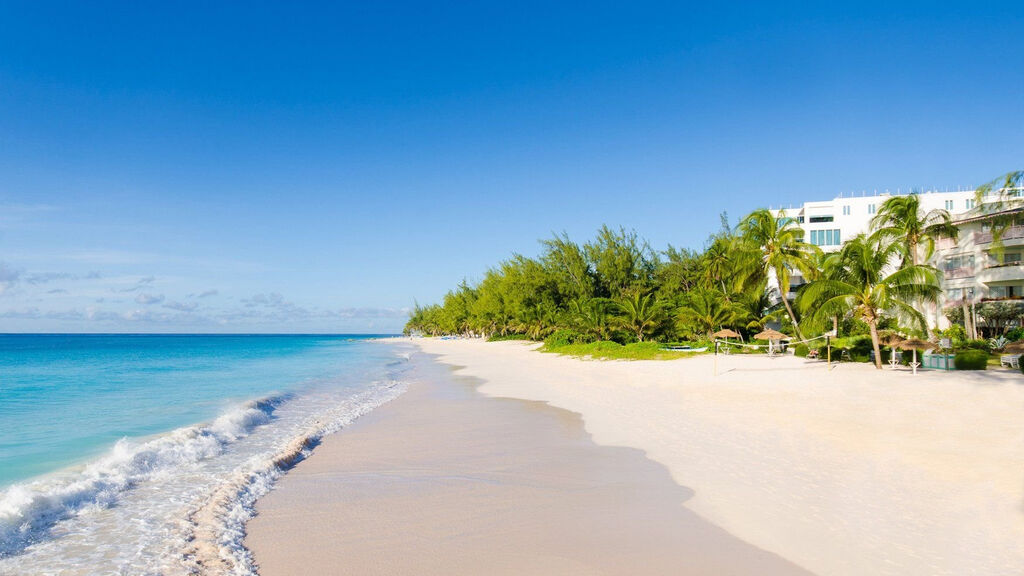 Bougainvillea Barbados