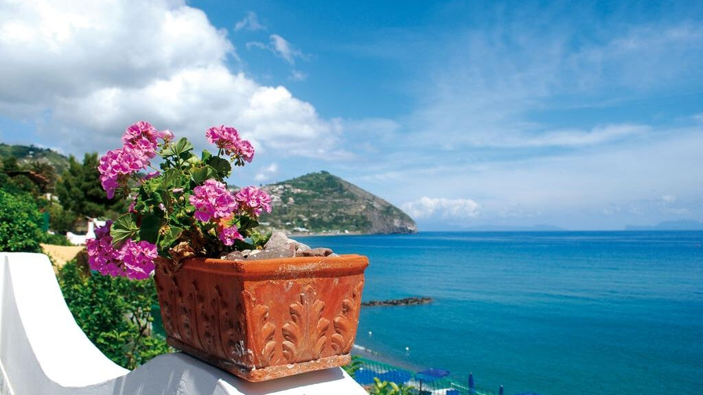 Casa Rosa