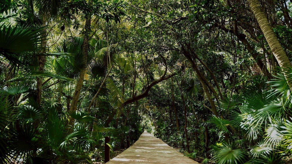 Catalonia Playa Maroma