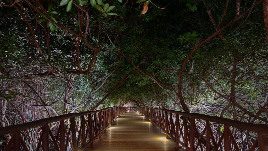 Catalonia Royal Tulum