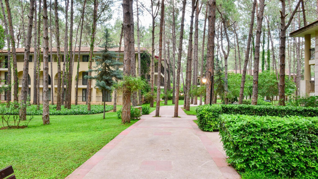 Champion Holiday Village