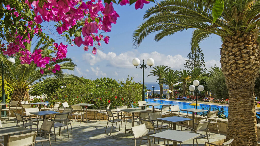 Tui Suneo Chrissi Amoudia