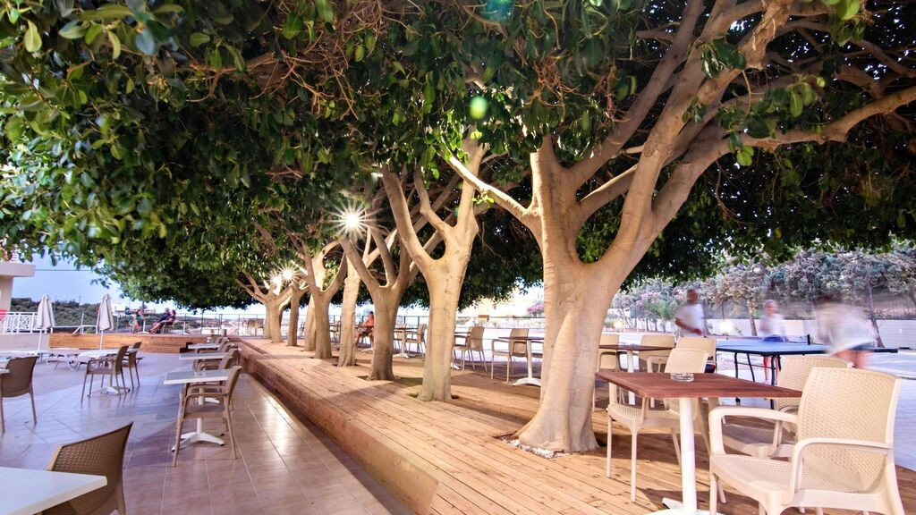 Chrissy´S Paradise