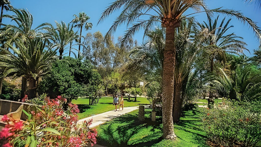Club Cala Marsal