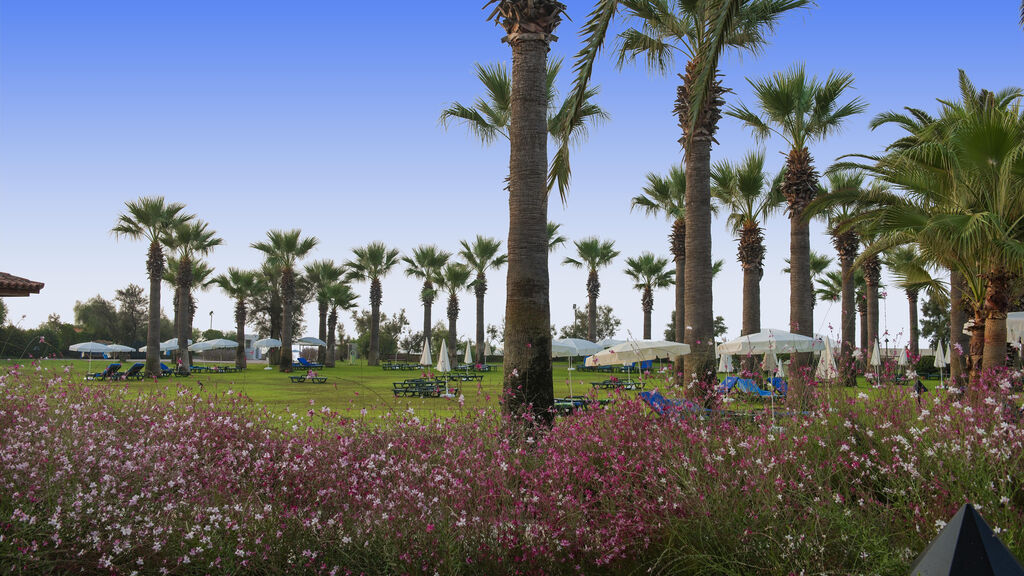 Club Mega Saray