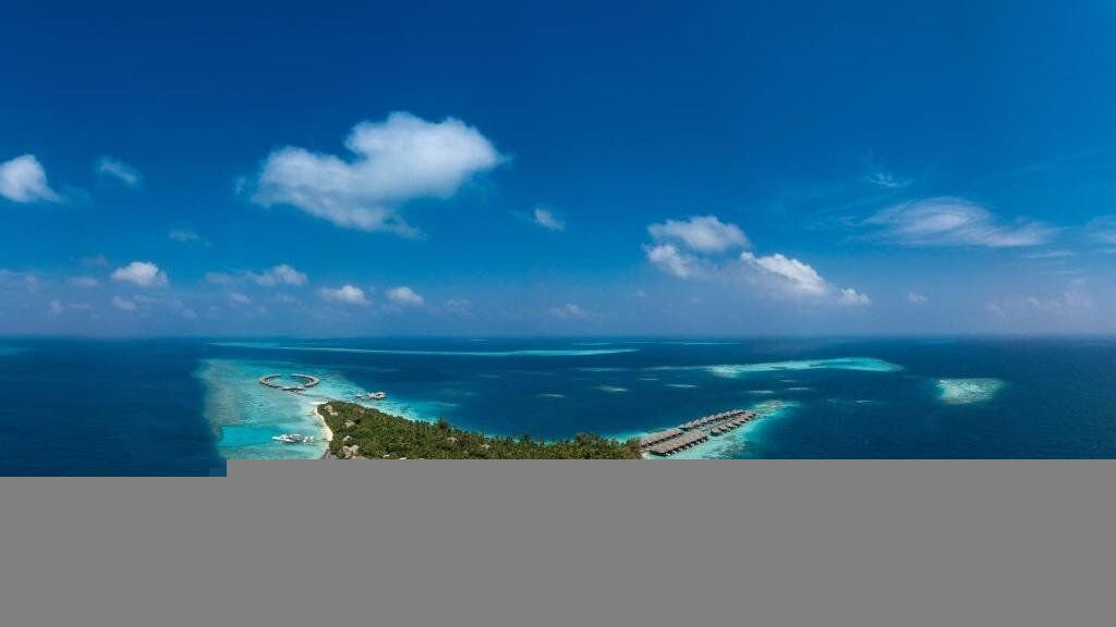 Coco Bodu Hithi