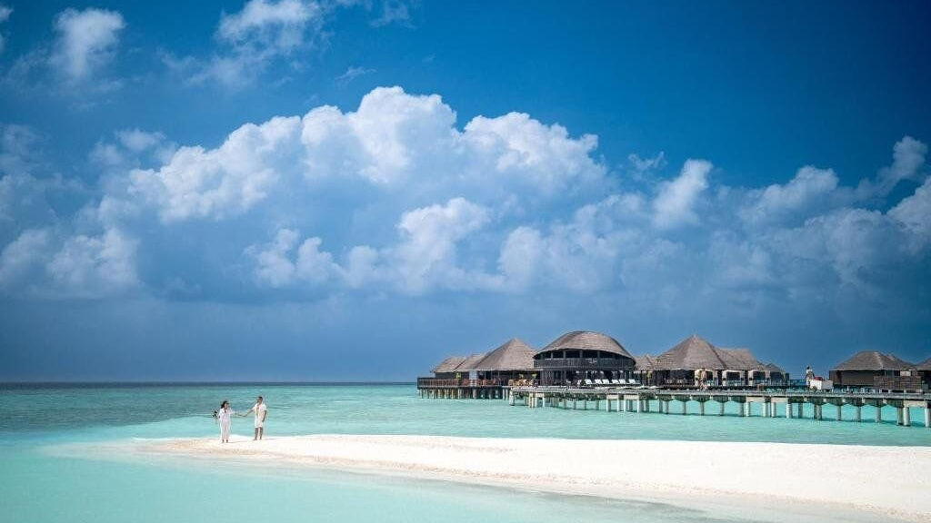 Coco Bodu Hithi