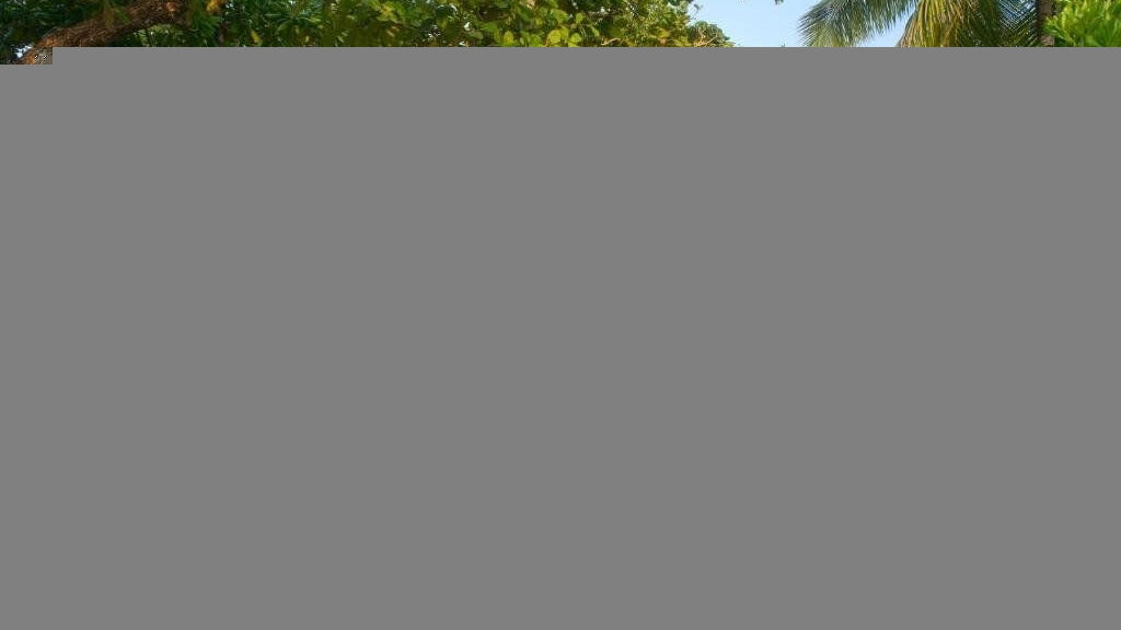 Coco Palm Dhuni Kolhu