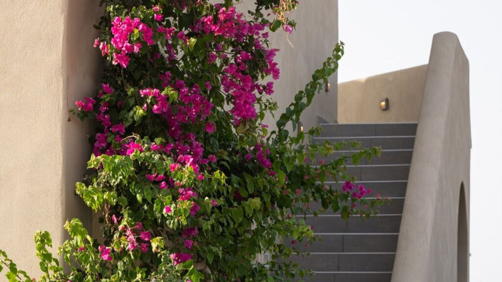 Colombo'S Beachfront