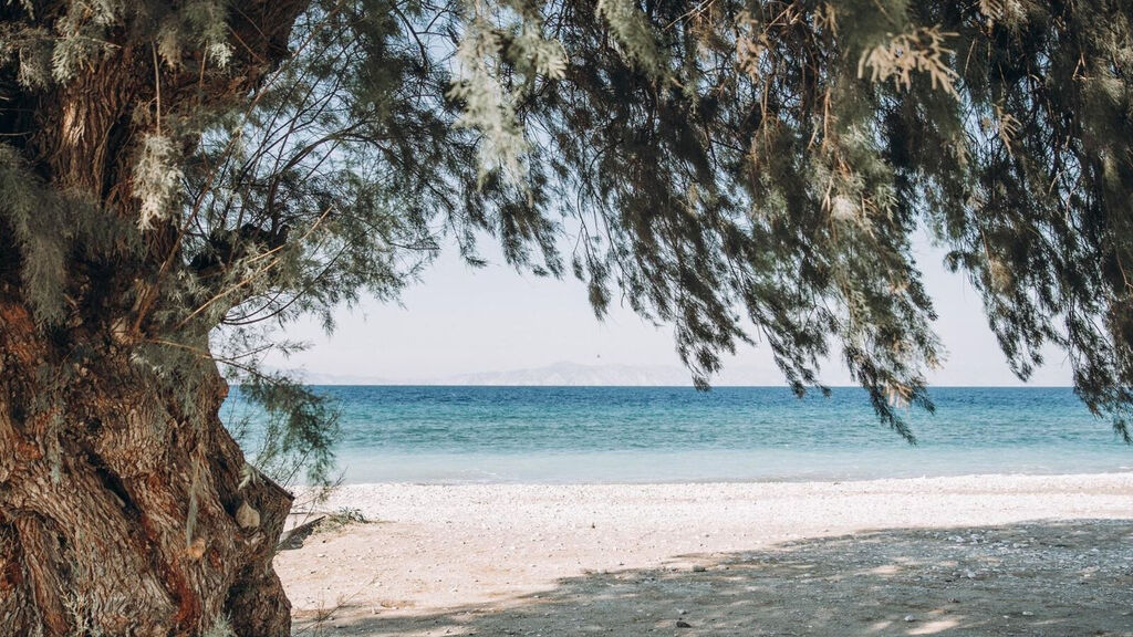 Cook‘S Club Ialyssos Rhodes