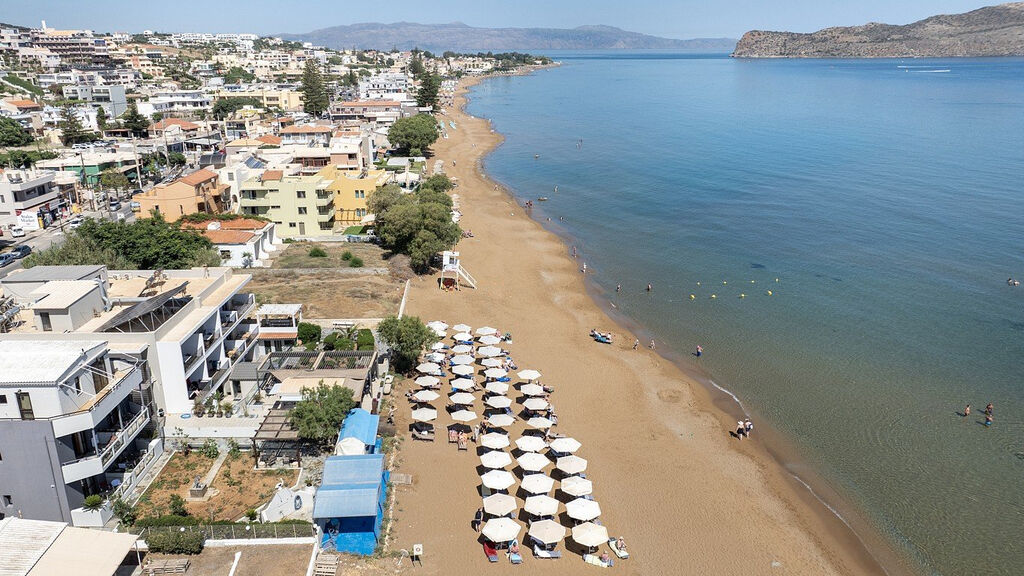 Creta Palm