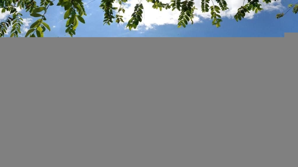 Cristal Ballena Boutique Hotel & Spa