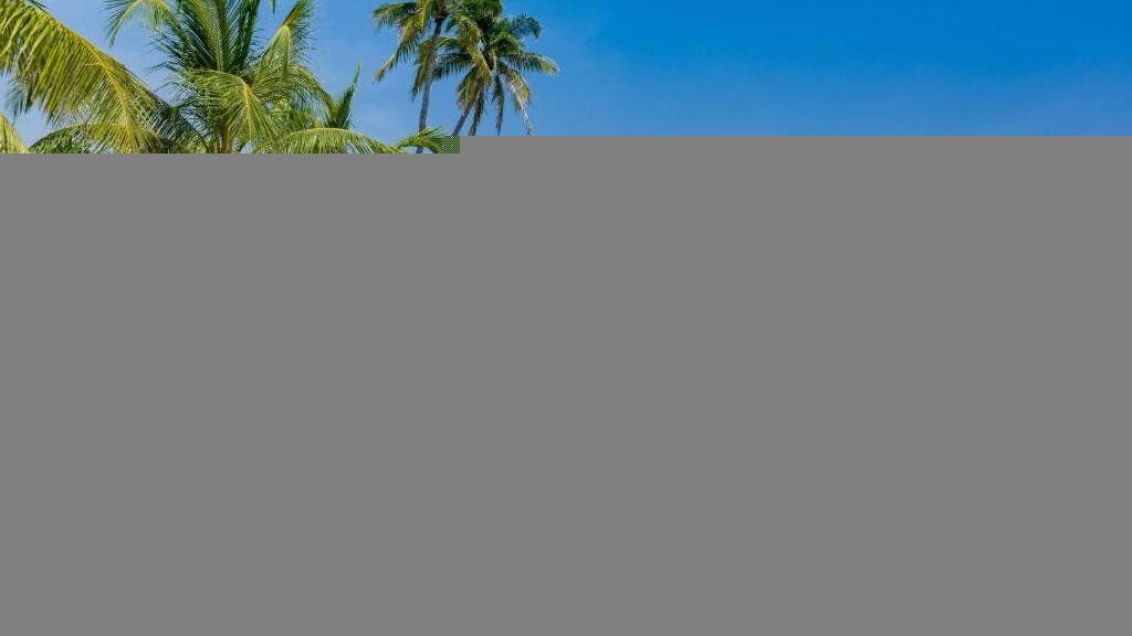 Dhigufaru Island Resort