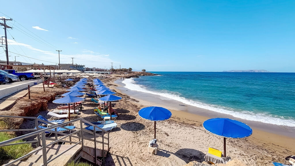 Diogenys Blue Palace