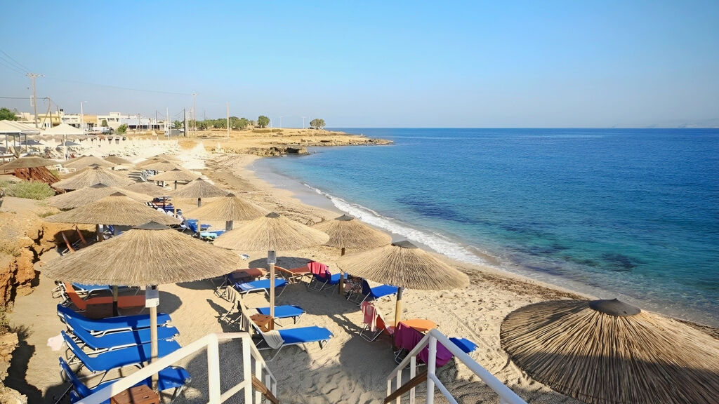 Diogenys Blue Palace