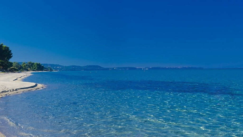 Apolamare