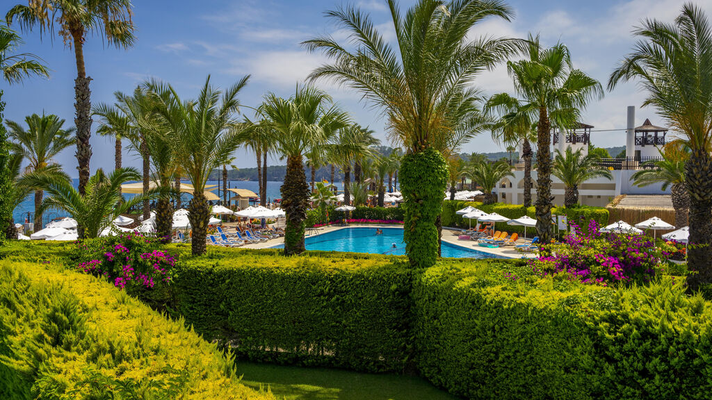 Emelda Sun Club