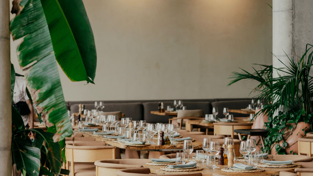 Epidamn White Sensation