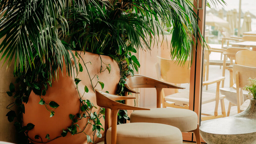 Epidamn White Sensation