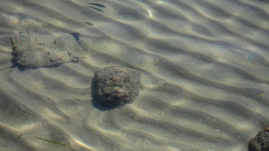 Faedra Beach