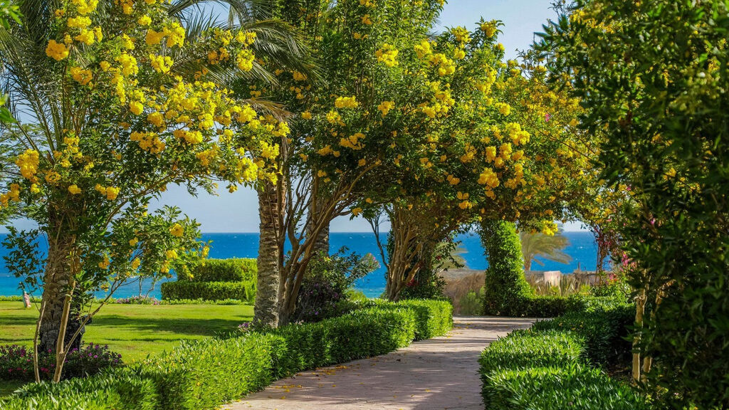 Fantazia Resort